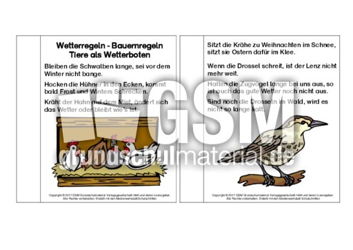 Mini-Buch-Bauernregeln-Tiere.pdf